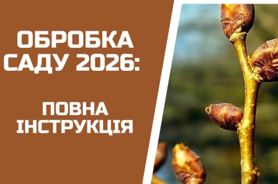 НЕ КРОПІТЬ САД ДАРЕМНО! Головна помилка 1-ї обробки у 2026 році