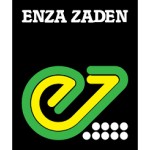 Enza Zaden, Голландія