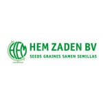 Hem Zaden, Голландія