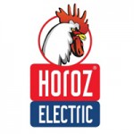 HOROZ ELECTRIC, Туреччина