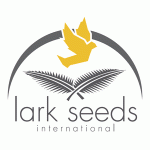 Lark Seeds, США
