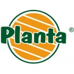 Planta, Польща