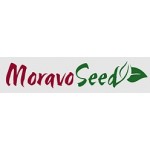 Moravo Seed, Чехія