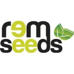 Rem Seeds, Італія
