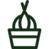 Цибуля сівок і часник