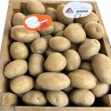 Насіннєва картопля Арізона 2.5 кг Агріко