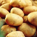 Насіннєва картопля Констанс 2.5 кг Агріко