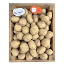 Насіннєва картопля Рів'єра (1 репродукція), 2.5 кг | Agrico