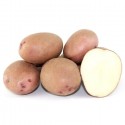 Насіннєва картопля Фотинія (1 репродукція), 2.5 кг | ІК НААН України