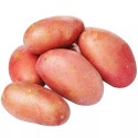 Насіннєва картопля Тирас (1 репродукція), 2.5 кг | ІК НААН України