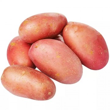 Насіннєва картопля Тирас (1 репродукція), 2.5 кг | ІК НААН України