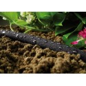 Cellfast Шланг для краплинного поливу DRIP 1/2', 7,5м