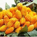 Насіння Момордики, 5 шт