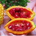 Насіння Момордики, 5 шт