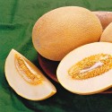 Насіння дині Ананас, 0.5 г