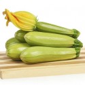 Насіння кабачків Ріка F1, 5 шт