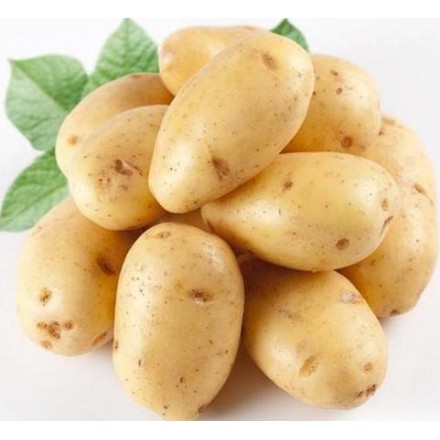 Картопля Ілона, 0.02 г