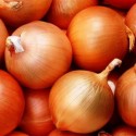 Цибуля ріпчаста Халцедон, 1 г
