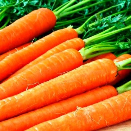 Насіння моркви Ланге Роте Штумпфе, 10 г
