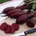 Насіння на стрічці буряк Ренова, 5 м