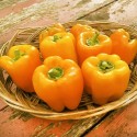 Насіння перцю Паланська Бабура, 0.25 г