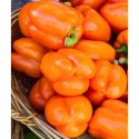 Насіння перцю Оранжеве чудо, 0.2 г