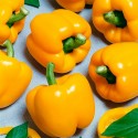 Насіння перцю Золотий Фазан, 0.25 г
