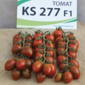 Насіння томату KS 277 F1, 8 шт
