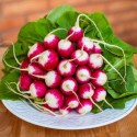Насіння редиски Полонеза, 3 г