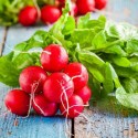 Насіння редиски Скарлет, 10 г