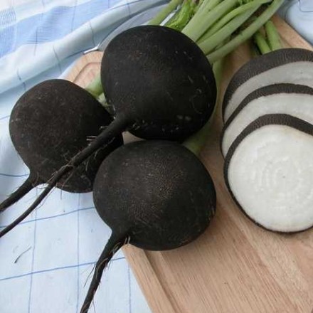 Насіння редьки Чорна Кулата, 2 г