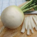 Насіння редьки Дайкон Акорд, 2 г