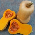 Насіння гарбуза Арабатський, 10 г