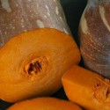 Насіння гарбуза Лонг Неаполь, 10 шт