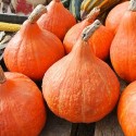 Насіння гарбуза Потімаррон, 1 г