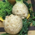 Насіння селери кореневої Президент, 0.03 г