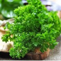 Петрушка кучерява Каліто, 1 г