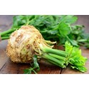 Насіння селери кореневої Діамант, 0.03 г