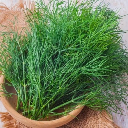Кріп Кущовий, 10 г