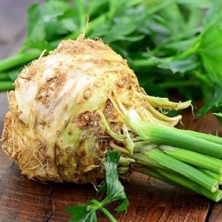 Насіння селери кореневої Президент, 0.03 г