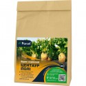 Насіння буряка кормового Центаур Полі (Білий), 500 г