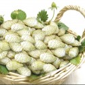 Насіння суниці Вайт Соул, 0.1 г