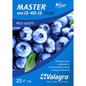 Мінеральне добриво Master (Мастер) 13-40-13 Valagro, 25 г