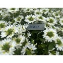 Табличка для рослин 25x6,6 см, 10 шт, алюміній, TYE256622AL/10B