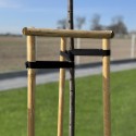 Стрічка для стабілізації дерев, TREE SUPPORT, 40 мм x 25 м, TYTS4025/BK
