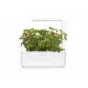Стартовий набір Smart Garden 3, білий, Click&Grow