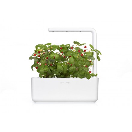 Стартовий набір Smart Garden 3, білий, Click&Grow