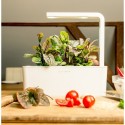 Стартовий набір Smart Garden 3, білий, Click&Grow