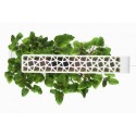 Стартовий набір Smart Garden 3, білий, Click&Grow