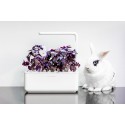 Стартовий набір Smart Garden 3, білий, Click&Grow